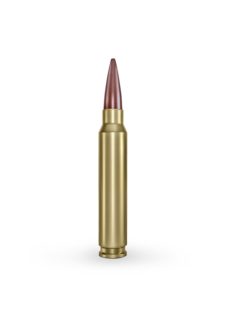 1 hospitalizado tras un tiroteo en Tampa