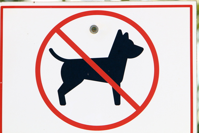 Mujer hospitalizada tras el ataque de un perro en Fort Lauderdale