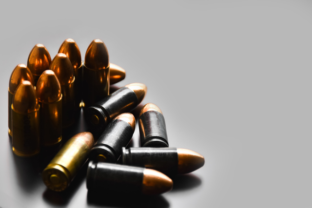 Padre acusado de disparar a 3 hijos en Ruskin: 'Intenté quitarles la vida'