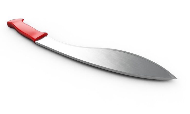 Víctima acuchillada con machete llevada al hospital que lleva al arresto del presunto atacante