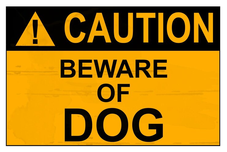 Pit bull ataca a hombre y perro en barrio de Jupiter