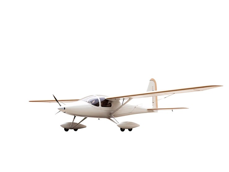 Un buen samaritano rescata a 2 personas y a su perro tras estrellarse una avioneta en Melbourne Beach