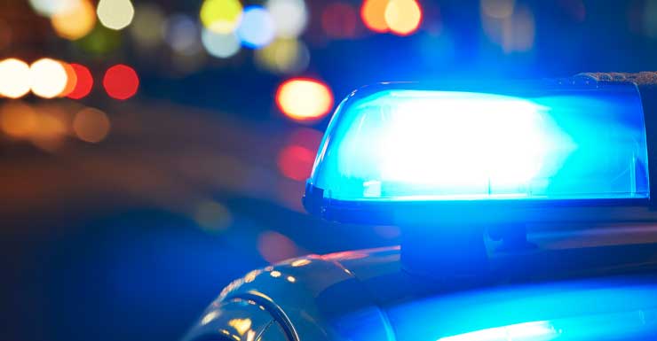 2 arrestados tras robo violento en Tice que dejó a un hombre ensangrentado y hospitalizado