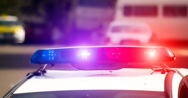 Mujer de Dania Beach golpeó y le quitó más de $100,000 a inquilino anciano con demencia BSO