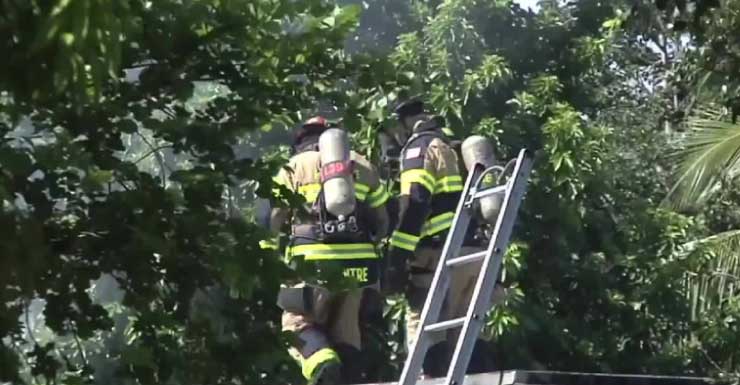 Rescatan a dos perros de casa en llamas en Southwest Ranches; no se reportan heridos