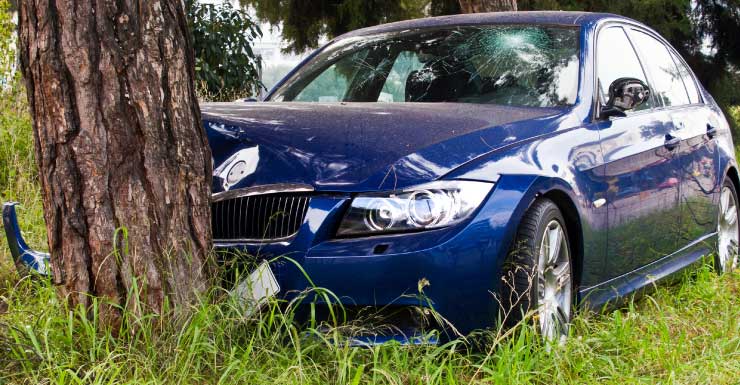1 muerto, 1 herido cuando un auto se eleva y choca contra un árbol en Lake County, dicen los agentes