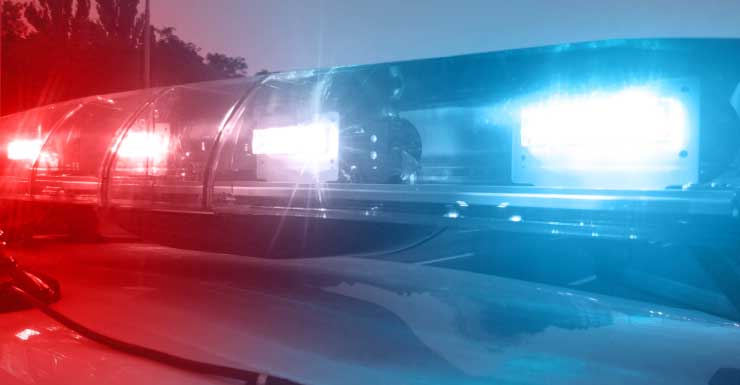 Adolescente de 17 años arrestado tras persecución por la I-75 que terminó en zona silvestre de Babcock