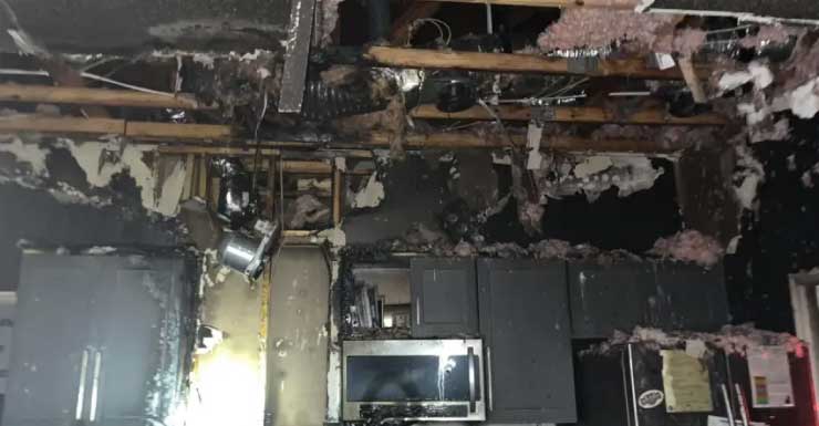 Cinco personas sufren inhalación de humo, dos perros mueren en incendio en casa de Spring Hill