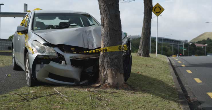 Hombre de 74 años de Old Town muere tras chocar contra un árbol
