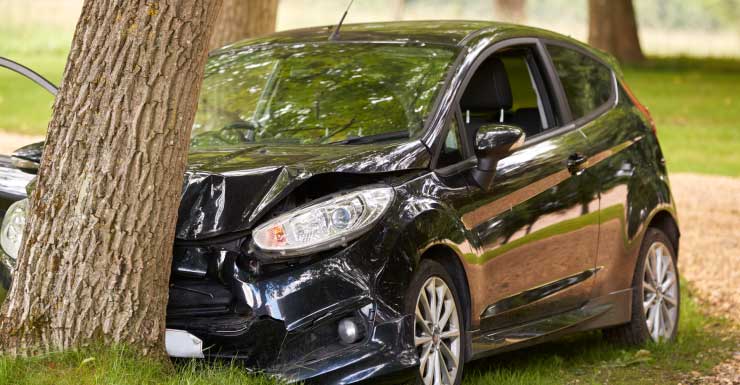 Hombre muere en accidente nocturno en la I-75 en el condado de Hillsborough tras chocar contra un árbol Patrulla de Carreteras de Florida