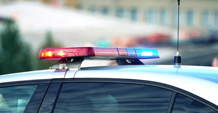 Padre e hijo italianos arrestados en Bayside por golpear a un adulto mayor por asientos en un bote turístico, según la policía