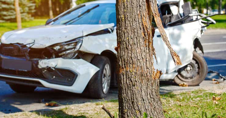 Accidente en el condado de Orange deja a 9 niños hospitalizados después de que un auto chocara contra un árbol