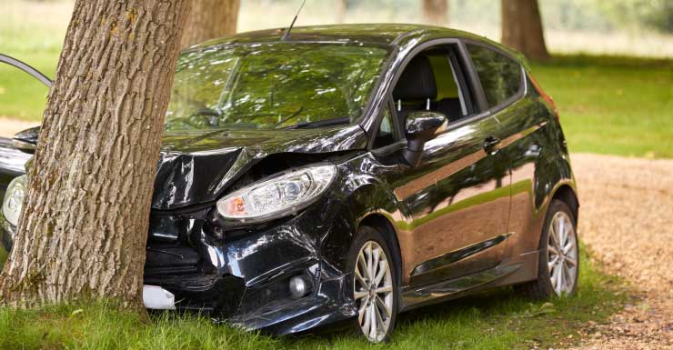 Hombre de Kissimmee muere en choque contra árbol en el condado de Osceola, según FHP
