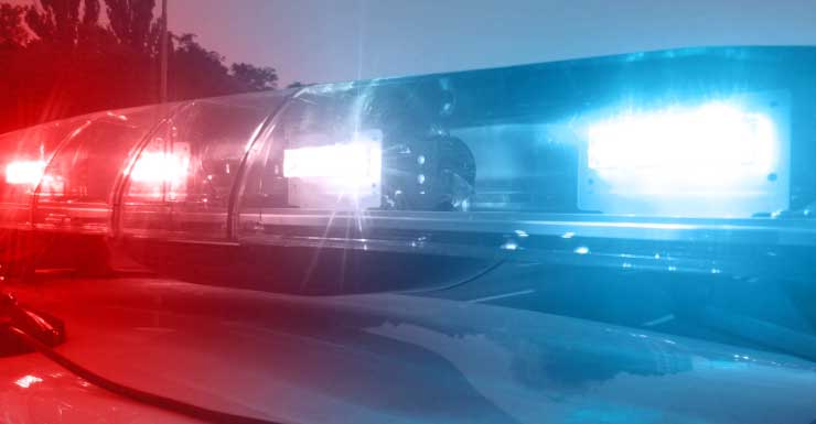 Pareja acusada de agredir y robar a adulto mayor en el vecindario Shenandoah de Miami