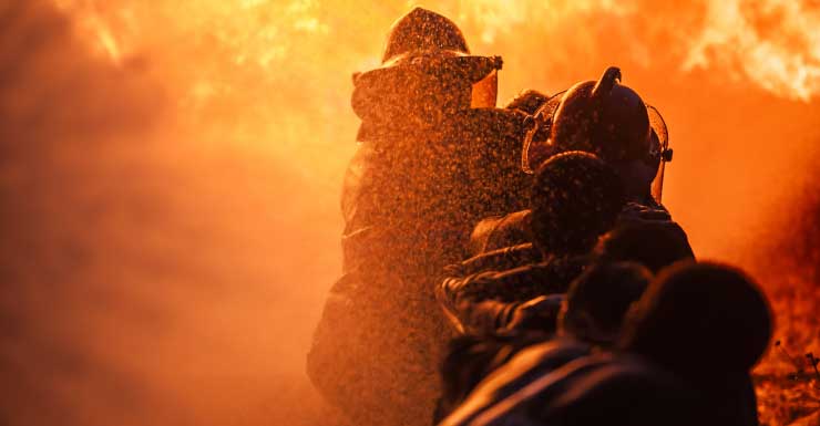 Perro se recupera tras ser rescatado de incendio en tráiler en Davie; familia de 4 personas desplazada