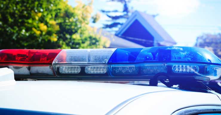 Estudiante del Condado Brevard ataca a maestra e intenta quitarle el arma a un agente, según el sheriff