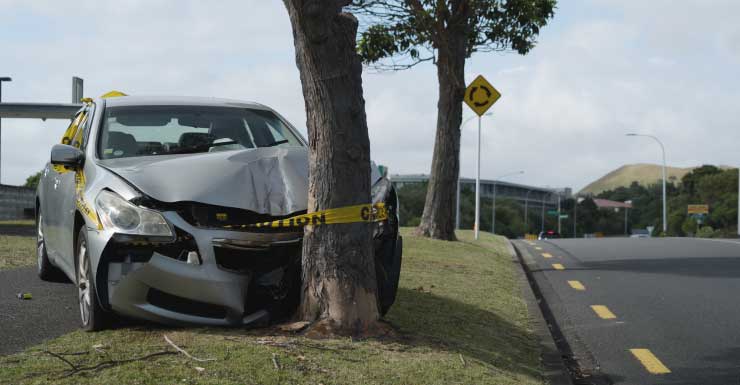 Jugadora de sóftbol de UWF, de 19 años, muere en accidente en el área de Tallahassee
