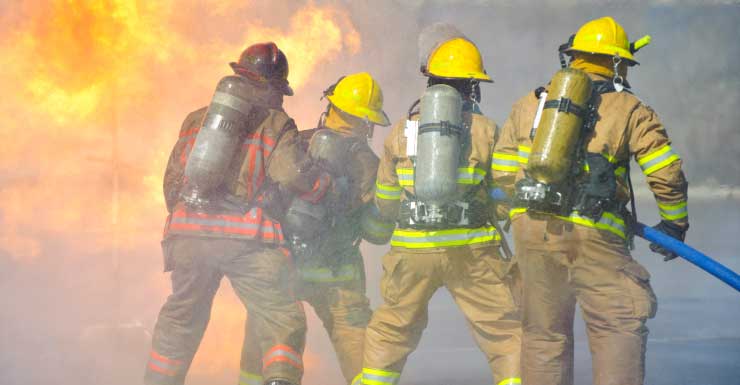 Perro de familia rescatado de incendio en casa de Palm Coast se recupera en hospital veterinario