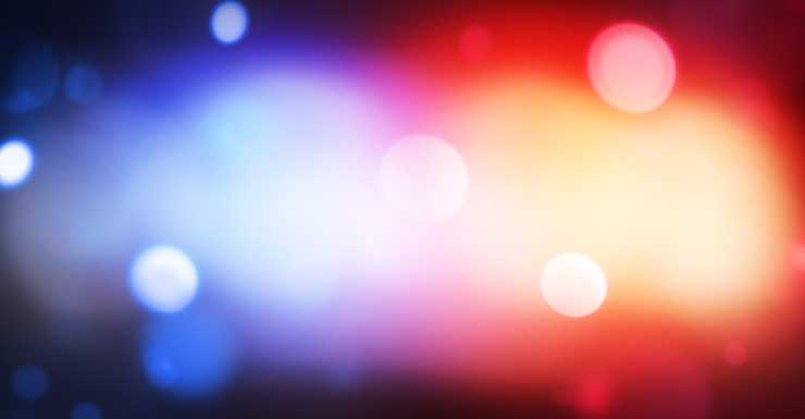 Entrega de comida se vuelve violenta, dicen los agentes del condado de Manatee