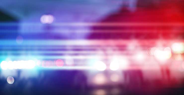 Hombre de Spring Hill arrestado por matar a un gatito durante disputa doméstica HCSO