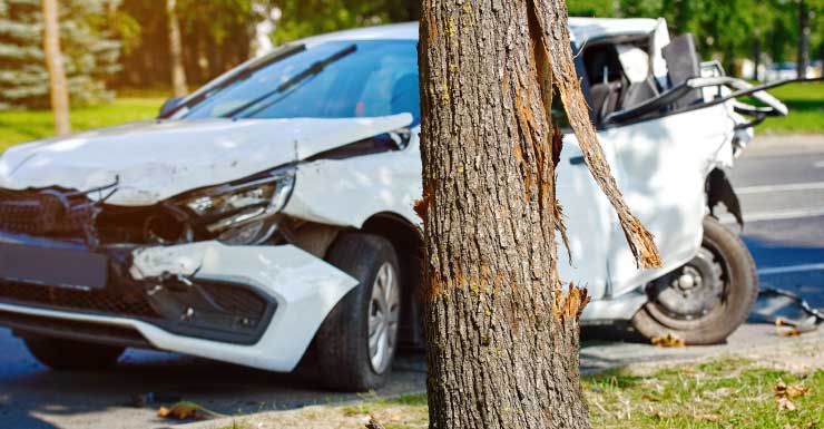 Hombre de Wellington muere y un niño de 10 años resulta herido tras chocar SUV contra un árbol