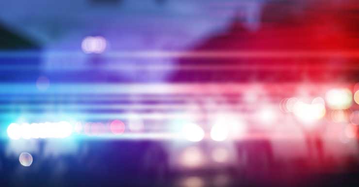 Un hombre apuñalado en un autobús de Miami-Dade tras desearle «Feliz Navidad» al sospechoso, de 73 años, según la policía.