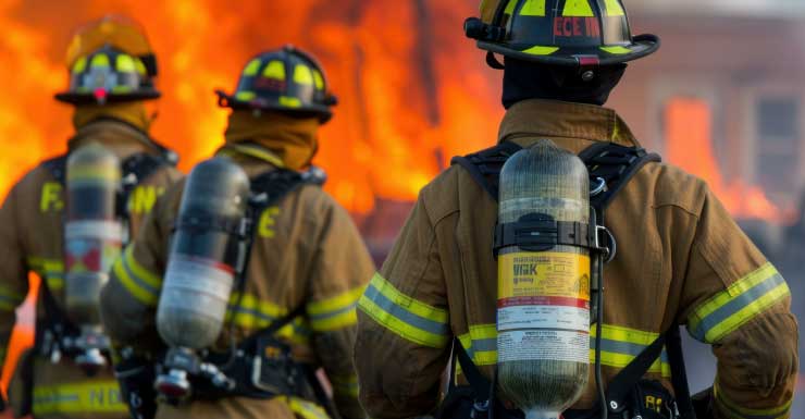 Algunos animales de ZooWorld no sobrevivieron al incendio matutino, confirma BCSO