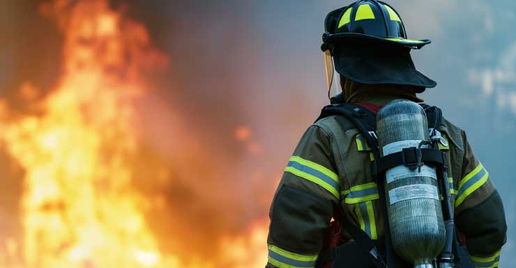 Bomberos combaten incendio en Santa Rosa Beach; rescatan a una tortuga de 100 libras