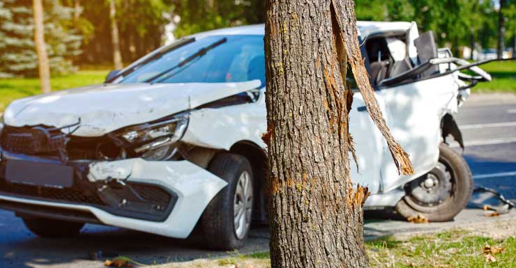 Hombre de Gainesville muere tras chocar contra un árbol