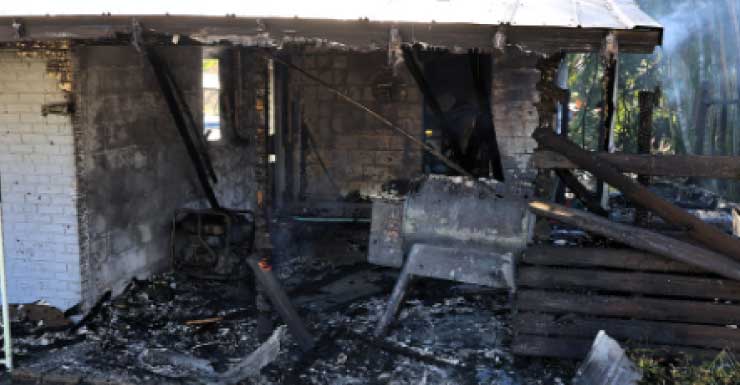 Incendio en una vivienda de Tampa deja un gato muerto y rescatan a otras cinco mascotas