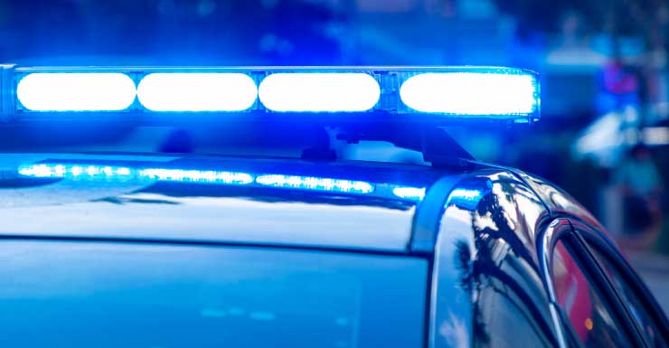 Manifestante supuestamente atacado por un provocador en protesta anti-ICE en Boca Raton