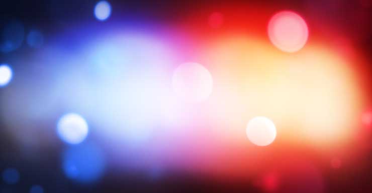 Mujer mordida en el rostro en Oxford Downs el Día de Año Nuevo