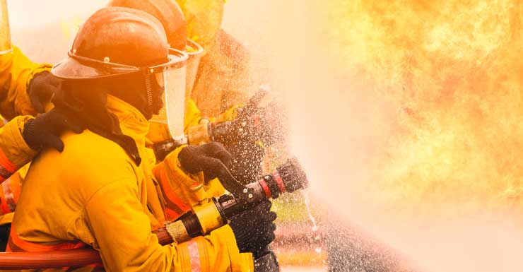 Perro desaparecido tras salir corriendo de casa en llamas en St. Pete