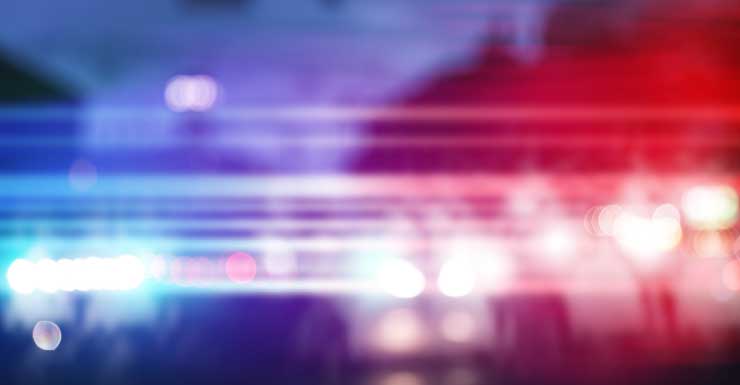 Una mujer acusada de provocar un incendio en una casa que causó la muerte de un perro en Lehigh Acres