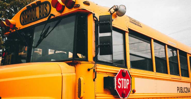 Autobús escolar atropella y mata a vaca en el condado de Manatee