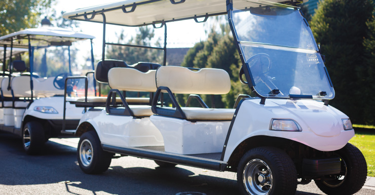 Adolescente de Lakeland sufre fracturas óseas después de que un carrito de golf de 900 libras se volcara y cayera sobre ella