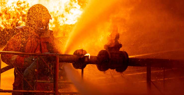 Rescatan a 2 perros de incendio en apartamento en Plantation