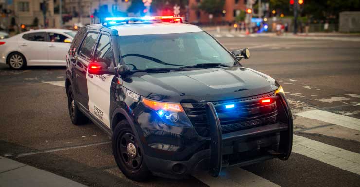 Tiroteo dentro de un Taco Bell en West Palm Beach deja 1 herido y un sospechoso detenido