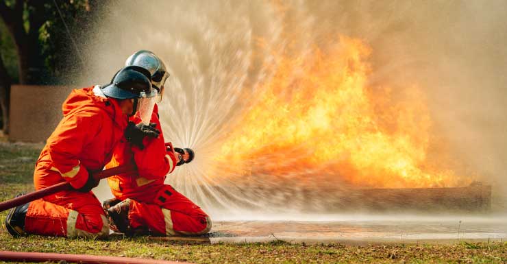 Tres gatos y dos hurones desaparecidos tras incendio de una casa rodante en Brooksville HCFR