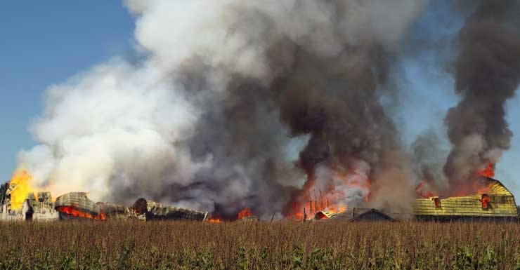 Incendio se desata en parque de casas móviles en Longwood