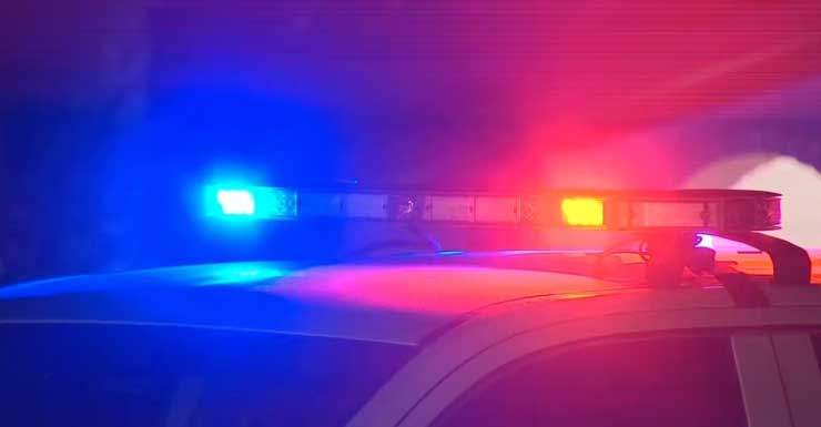 Un hombre fue citado después de chocar contra una patrulla de la Oficina del Sheriff del Condado de Walton.