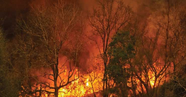 Bomberos combaten incendio en vivienda abandonada en Hawthorne durante cinco horas