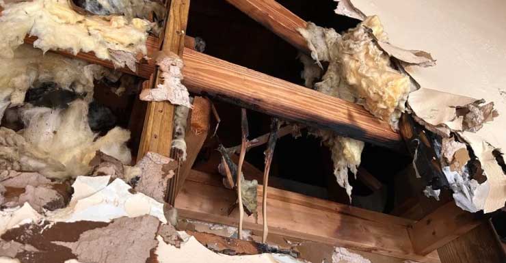 Diez personas desplazadas tras incendio en una vivienda en Boynton Beach; la Cruz Roja interviene para ayudar