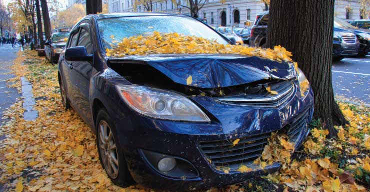 Hombre de Venice muere en accidente de un solo vehículo