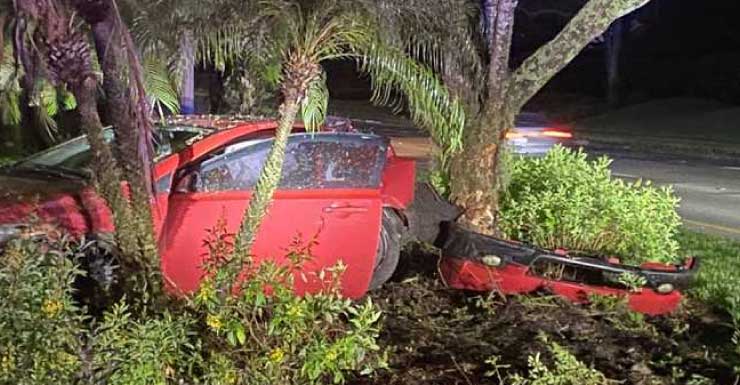 Un automóvil chocó contra un árbol en Three Oaks Parkway en Estero