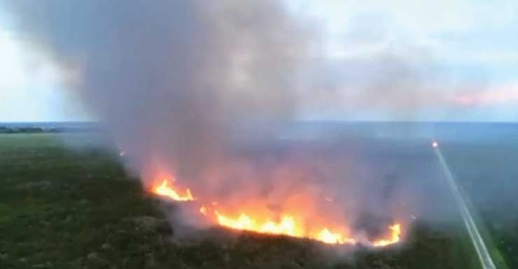 Bomberos combaten un incendio forestal de 75 acres en el condado de Martin