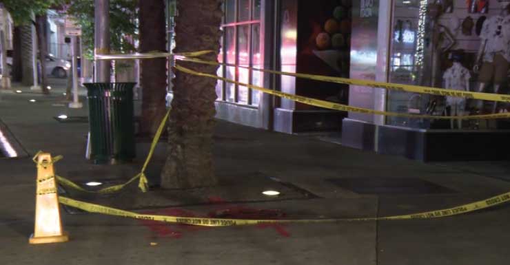 Conductora choca contra una iglesia en Fort Lauderdale, informa la policía