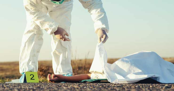 Hombre muere atropellado por un camión tras huir de agentes de ICE en Florida