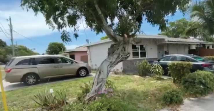 Niña de 2 años murió después de permanecer tres horas dentro de un automóvil caliente en Hallandale Beach