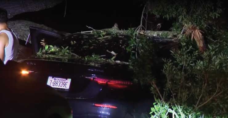 Automóvil choca contra un árbol en Orange River Loop Road en Buckingham